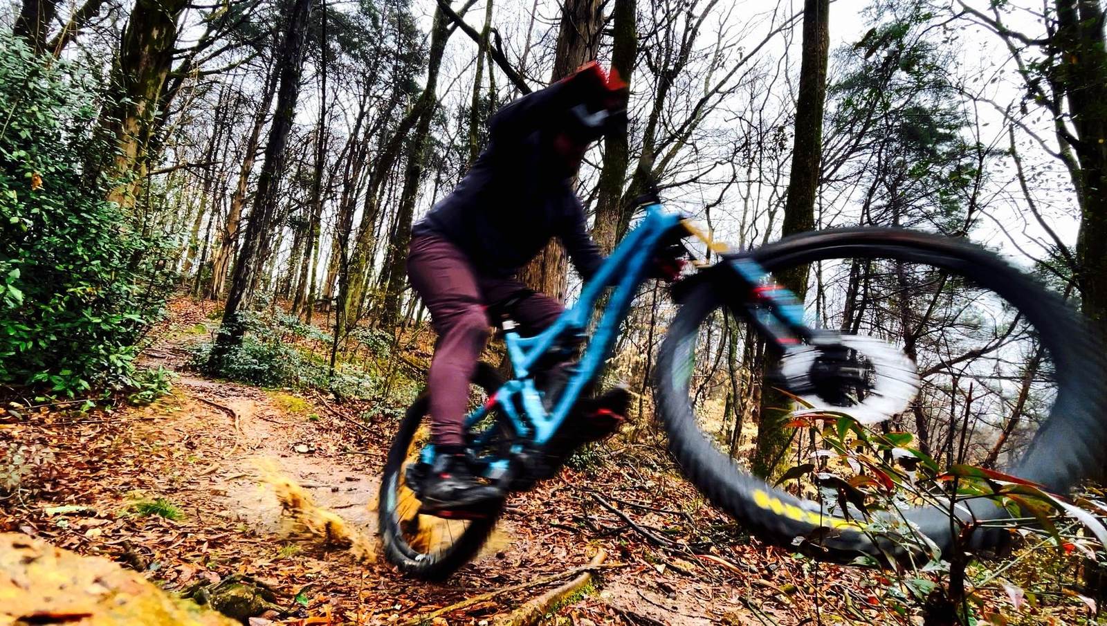 Shoals MTB rider on the trail